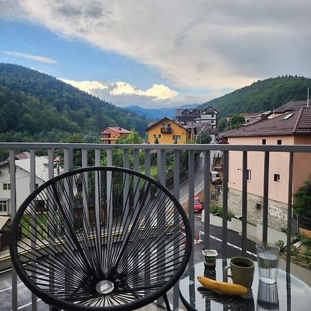 Cozy Studio 4 People With Parking Sinaia Eksteriør billede